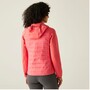 Regatta Andreson VIII Hybrid Softshelljacke Damen mit Kapuze