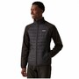 Regatta Clumber IV Hybrid Jacke Herren