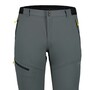 Icepeak Brentwood Outdoorhose Herren wasserabweisend