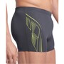 arena Reflecting Schwim Shorts fr Herren