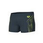 arena Reflecting Schwim Shorts fr Herren