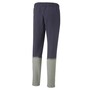 Puma teamCup Jogginghose Herren 657988
