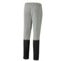 Puma teamCup Jogginghose Herren 657988