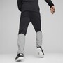 Puma teamCup Jogginghose Herren 657988