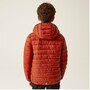 Regatta Marizion Baffle-Jacke mit Kapuze f�r Kinder