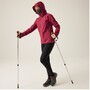 Regatta Desoto X Softshelljacke Damen mit Kapuze