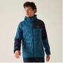 Regatta Hillpack III Steppjacke f�r Herren mit Kapuze