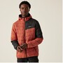 Regatta Hillpack III Steppjacke f�r Herren mit Kapuze