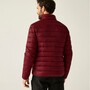 Regatta Marizion Baffle Jacke f�r Herren
