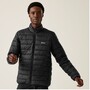 Regatta Marizion Baffle Jacke f�r Herren