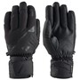 Zanier Rauris GTX Handschuhe Skihandschuhe Wasserdicht