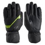 Zanier Rauris GTX Handschuhe Skihandschuhe Wasserdicht