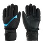 Zanier Rauris GTX Handschuhe Skihandschuhe Wasserdicht