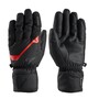 Zanier Rauris GTX Handschuhe Skihandschuhe Wasserdicht