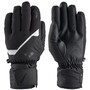 Zanier Rauris GTX Handschuhe Skihandschuhe Wasserdicht