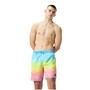 Speedo 18 Watershort fr Herren