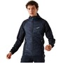 Regatta Andreson VIII Hybrid Softshelljacke Herren