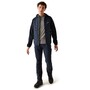 Regatta Andreson VIII Hybrid Softshelljacke Herren