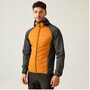 Regatta Andreson VIII Hybrid Softshelljacke Herren