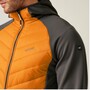 Regatta Andreson VIII Hybrid Softshelljacke Herren