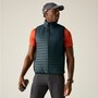 Regatta Andreson Steppweste / Bodywarmer f�r Herren