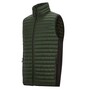 Regatta Andreson Steppweste / Bodywarmer f�r Herren