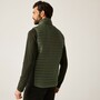 Regatta Andreson Steppweste / Bodywarmer f�r Herren