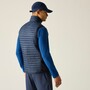 Regatta Andreson Steppweste / Bodywarmer f�r Herren