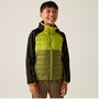 Regatta Kielder IX Hybrid Softshelljacke Kinder