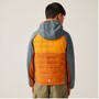 Regatta Kielder IX Hybrid Softshelljacke Kinder