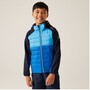 Regatta Kielder IX Hybrid Softshelljacke Kinder
