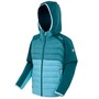 Regatta Kielder IX Hybrid Softshelljacke Kinder