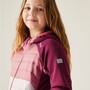 Regatta Kielder IX Hybrid Softshelljacke Kinder