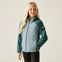 Regatta Kielder IX Hybrid Softshelljacke Kinder