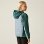 Regatta Kielder IX Hybrid Softshelljacke Kinder