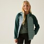 Regatta Kielder IX Hybrid Softshelljacke Kinder