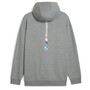Puma BMW M Motorsport Essentials+ Fleecejacke mit Kapuze Herren