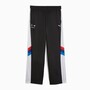 Puma BMW Trainingshose Herren