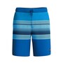 Speedo 20 Watershort fr Herren
