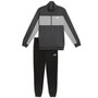 Puma Trainingsanzug Herren Poly Colorblock Suit