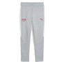 Puma RB Leipzig Jogginghose Herren Saison 25/26