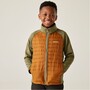 Regatta Trekktain 3 in 1 Jacke f�r Jungen Wasserdicht mit Kapuze
