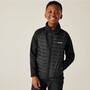 Regatta Trekktain 3 in 1 Jacke f�r Jungen Wasserdicht mit Kapuze