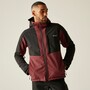 Regatta Softshelljacke Hewitts Herren mit Kapuze