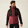 Regatta Softshelljacke Hewitts Herren mit Kapuze