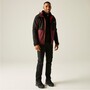 Regatta Softshelljacke Hewitts Herren mit Kapuze