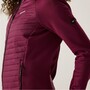 Regatta Andreson Hybrid Softshelljacke f�r Damen
