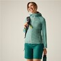 Regatta Andreson Hybrid Softshelljacke f�r Damen