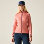 Regatta Andreson Hybrid Softshelljacke f�r Damen