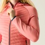 Regatta Andreson Hybrid Softshelljacke f�r Damen